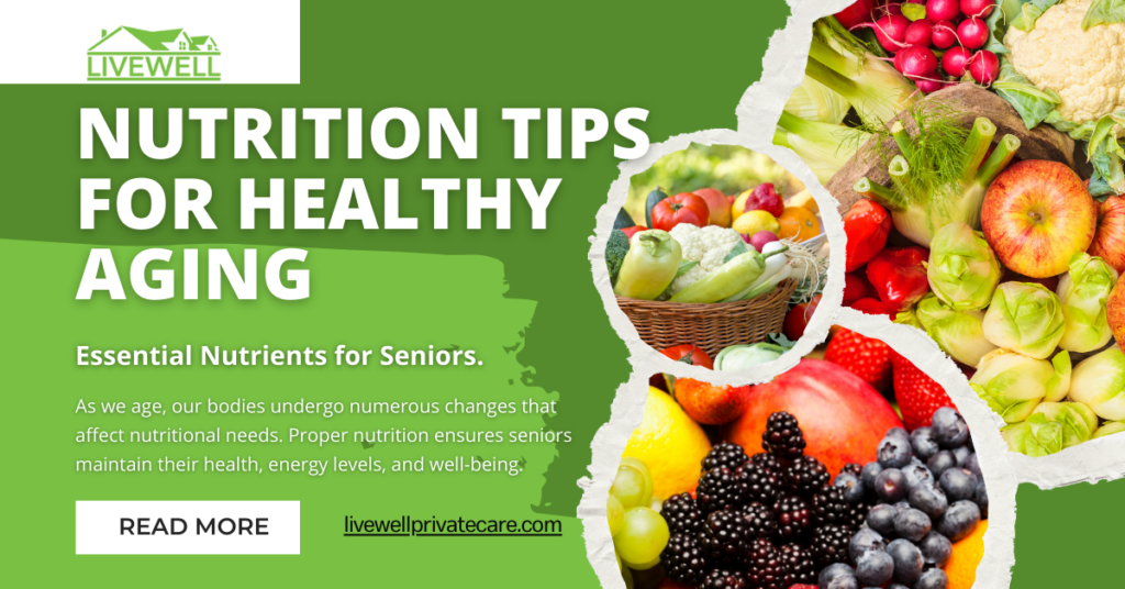 Essential Nutrients For Seniors